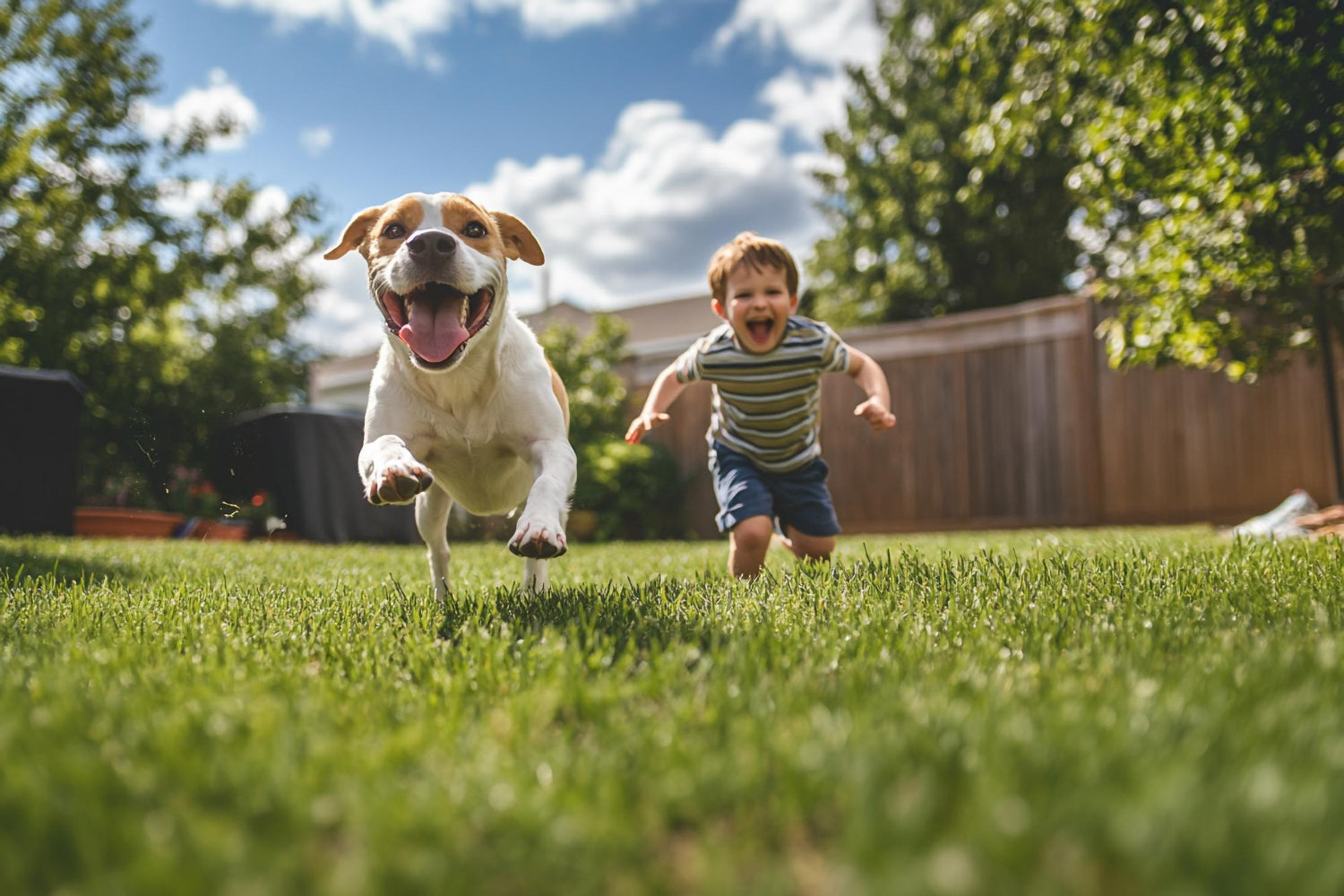 The Science Behind Why Dogs Make Us Happier and Healthier