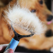 Double-Sided Pet Grooming Brush: Deshedding and Dematting Tool for Dogs & Cats