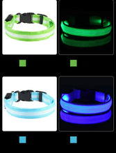 LED Nylon Pet Collar: Adjustable, Glows in the Dark, Night Safety