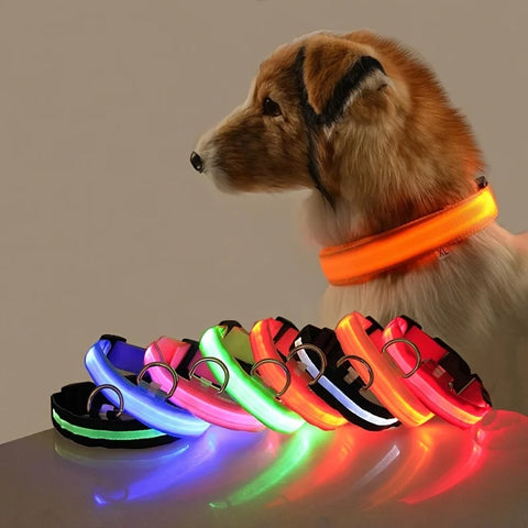 LED Nylon Pet Collar: Adjustable, Glows in the Dark, Night Safety