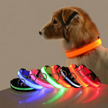 LED Nylon Pet Collar: Adjustable, Glows in the Dark, Night Safety