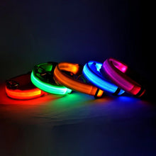 LED Nylon Pet Collar: Adjustable, Glows in the Dark, Night Safety