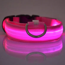 LED Nylon Pet Collar: Adjustable, Glows in the Dark, Night Safety