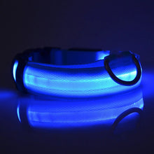 LED Nylon Pet Collar: Adjustable, Glows in the Dark, Night Safety