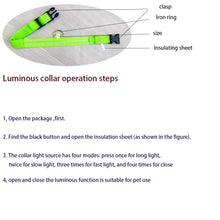 LED Nylon Pet Collar: Adjustable, Glows in the Dark, Night Safety