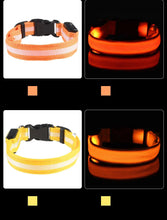 LED Nylon Pet Collar: Adjustable, Glows in the Dark, Night Safety