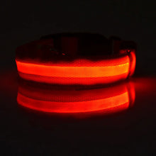 LED Nylon Pet Collar: Adjustable, Glows in the Dark, Night Safety