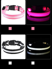 LED Nylon Pet Collar: Adjustable, Glows in the Dark, Night Safety