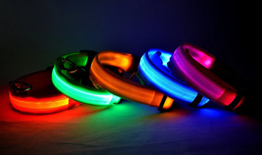 LED Nylon Pet Collar: Adjustable, Glows in the Dark, Night Safety