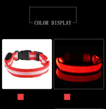 LED Nylon Pet Collar: Adjustable, Glows in the Dark, Night Safety